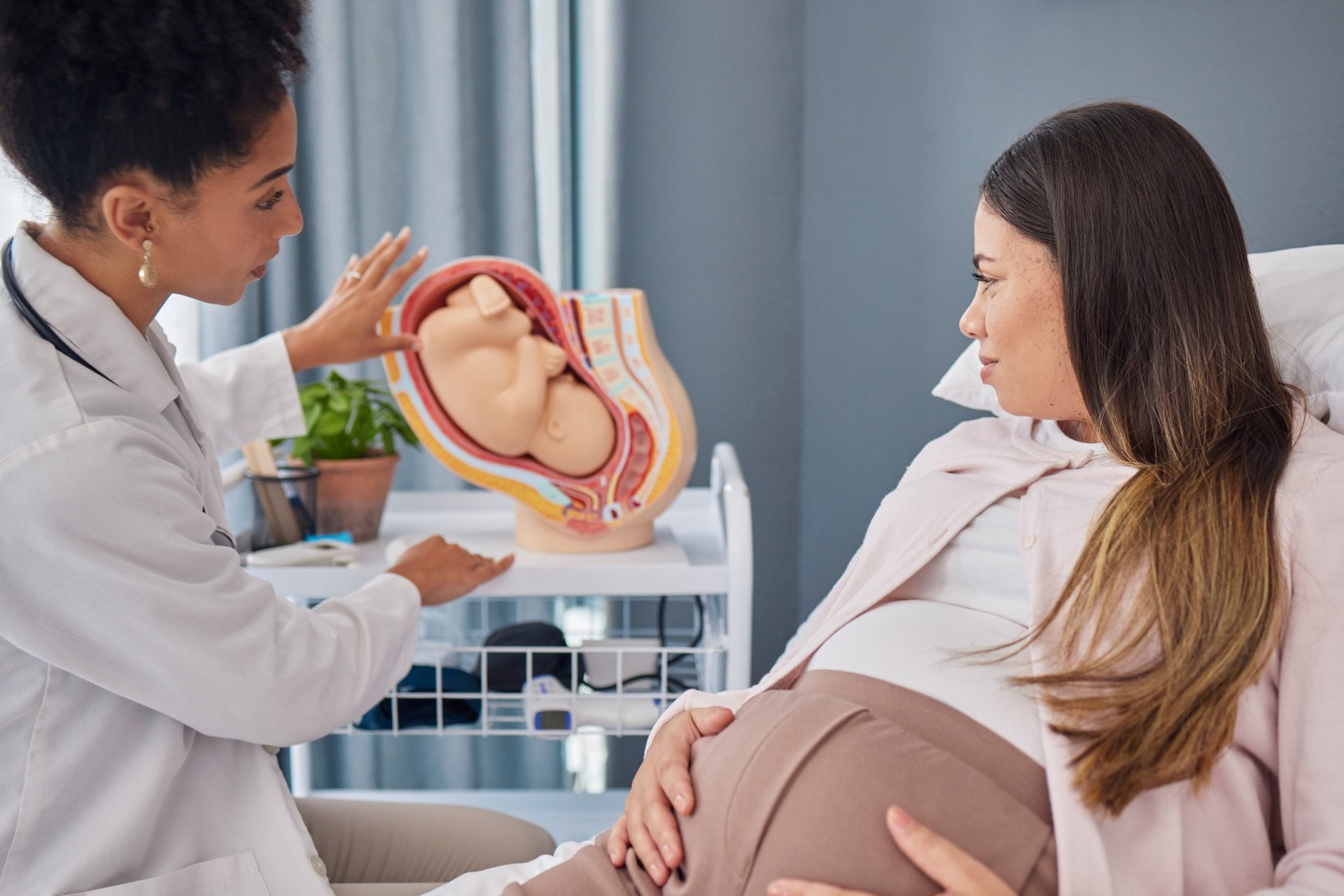 Doctor showing pregnant woman a fetal model during consultation
