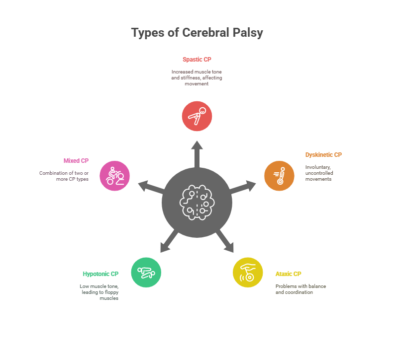 Types of Cerebral Palsy - visual selection