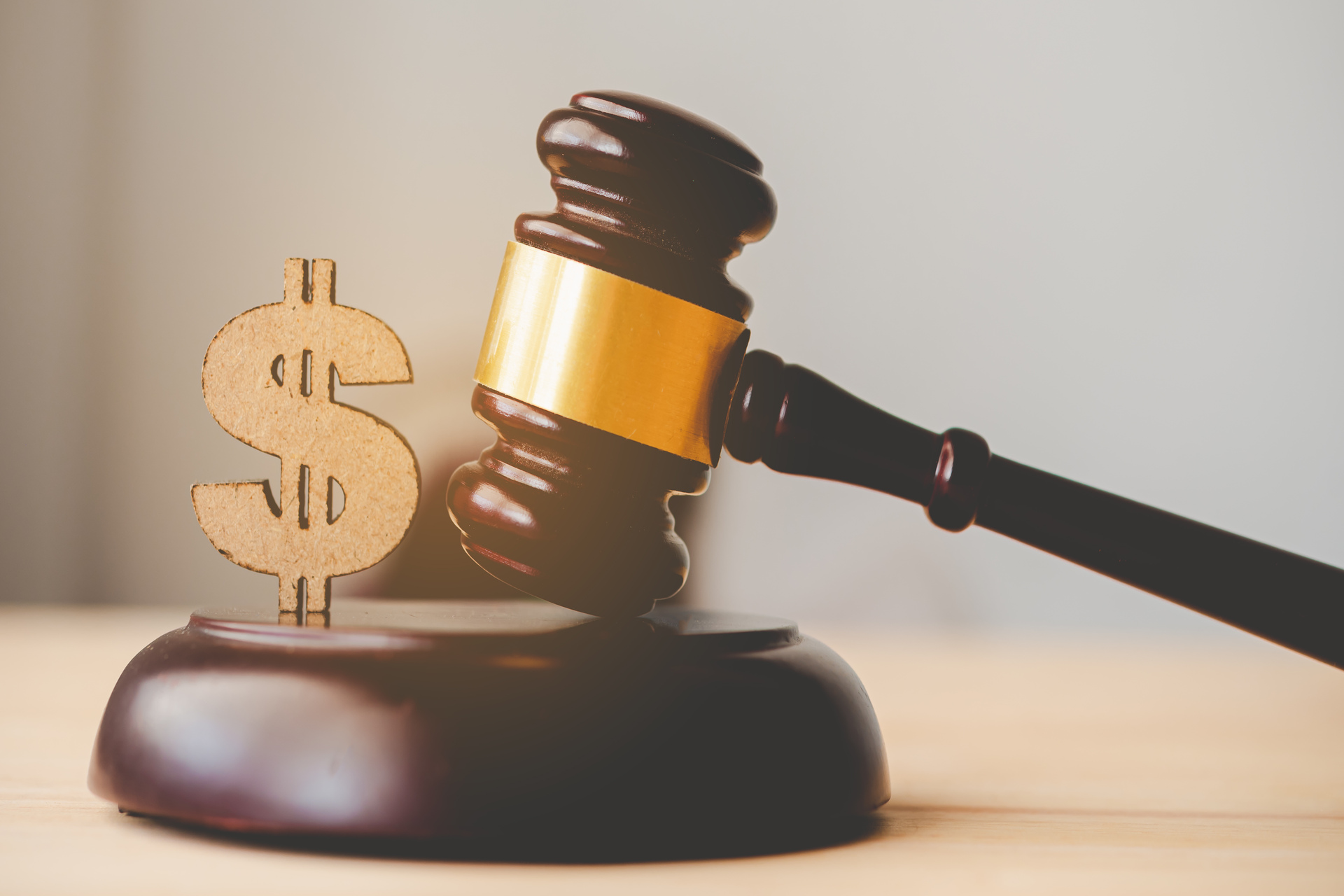 judge hammer with the dollar